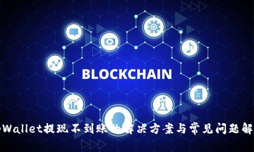 tpWallet提现不到账的解决方案与常见问题解析