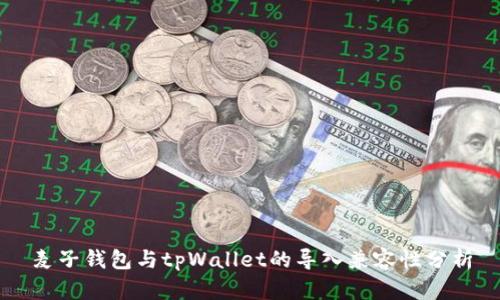 麦子钱包与tpWallet的导入兼容性分析