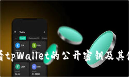如何查看tpWallet的公开密钥及其使用方法