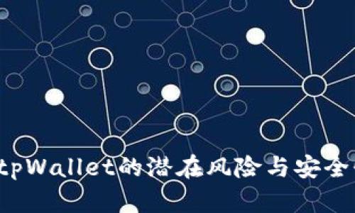  申请tpWallet的潜在风险与安全性分析