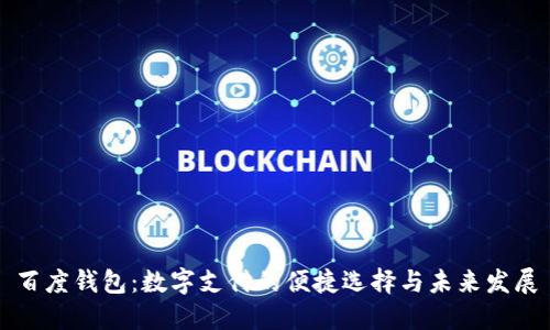 百度钱包：数字支付的便捷选择与未来发展