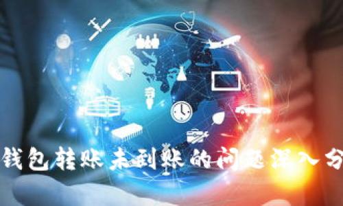 冷钱包转账未到账的问题深入分析