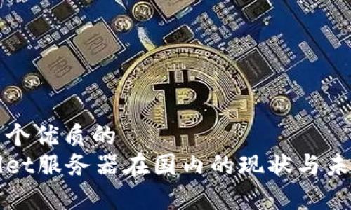思考一个优质的 
tpWallet服务器在国内的现状与未来展望