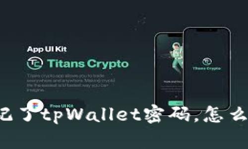忘记了tpWallet密码，怎么办？
