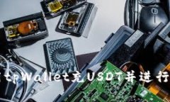 如何有效使用tpWallet充US
