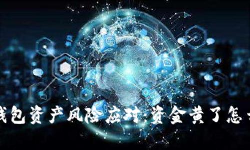  冷钱包资产风险应对：资金黄了怎么办？