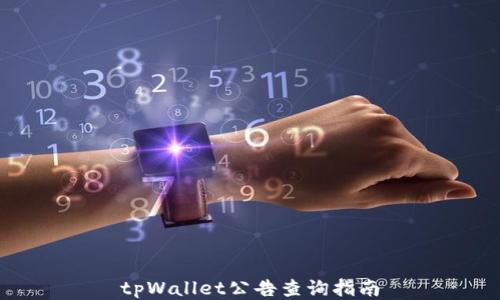 
tpWallet公告查询指南