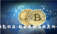 比特币钱包被盗：能否追