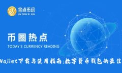  tpWallet下载与使用指南：