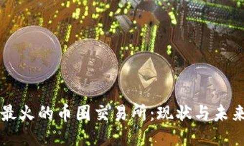 优质  
中国最火的币圈交易所：现状与未来展望