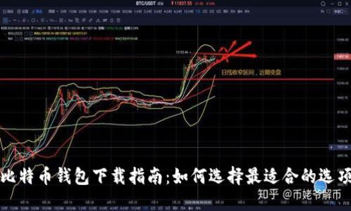 比特币钱包下载指南：如何选择最适合的选项