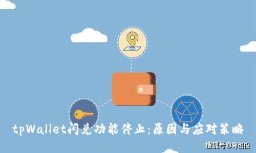 tpWallet闪兑功能停止：原因与应对策略