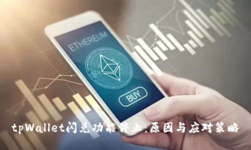 tpWallet闪兑功能停止：原因与应对策略