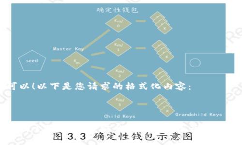 当然可以！以下是您请求的格式化内容：



深入解析索尔冷钱包：安全存储数字资产的最佳选择