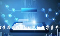 电脑如何使用tpWallet：您的
