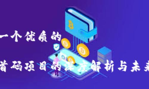 思考一个优质的 

币圈首码项目的深度解析与未来展望