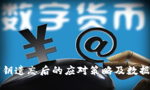 冷钱包密钥遗忘后的应对策略及数据恢复方法