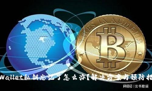 tpWallet私钥忘记了怎么办？解决方案与预防措施
