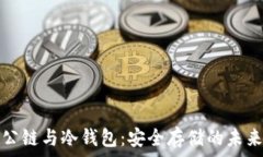   公链与冷钱包：安全存储