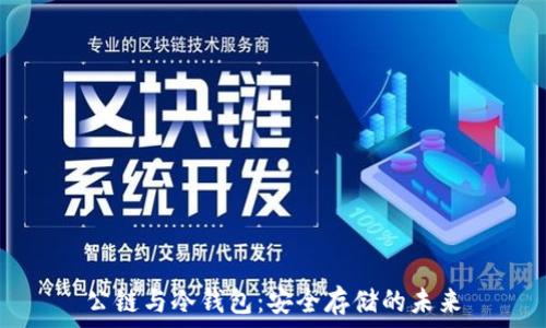   
公链与冷钱包：安全存储的未来