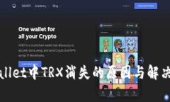 tpWallet中TRX消失的原因与解