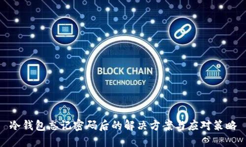 冷钱包忘记密码后的解决方案与应对策略