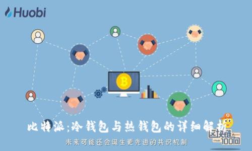 比特派：冷钱包与热钱包的详细解析