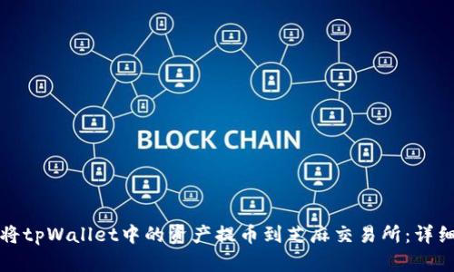 如何将tpWallet中的资产提币到芝麻交易所：详细指南