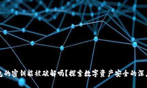 冷钱包的密钥能被破解吗？探索数字资产安全的深度解析