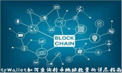 tpWallet如何查询持币地址数量的详尽指南