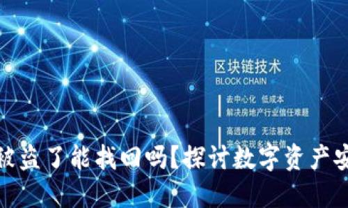 数字钱包的币被盗了能找回吗？探讨数字资产安全与维权之路