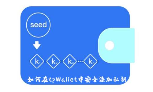 如何在tpWallet中安全添加私钥
