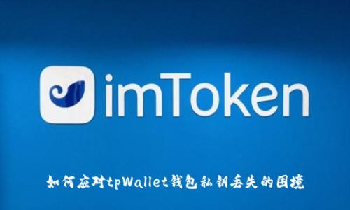 如何应对tpWallet钱包私钥丢失的困境