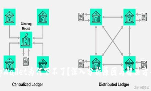 tpWallet为何下不了？深入分析原因与解决方案