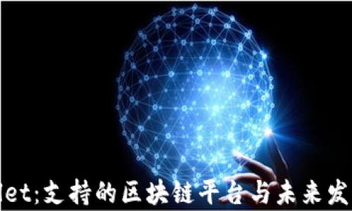 
tpWallet：支持的区块链平台与未来发展前景