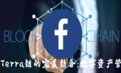   tpWallet与Terra链的完美结合：数字资产管理的新