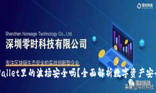 tpWallet里的波场安全吗？全面解析数字资产安全性