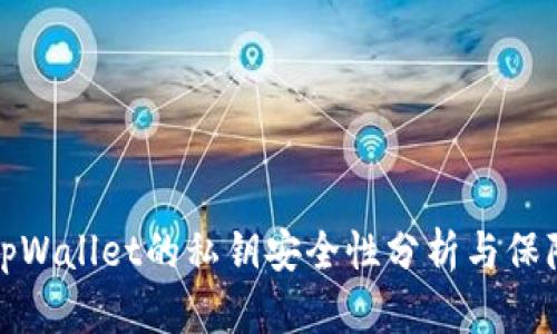 tpWallet的私钥安全性分析与保障