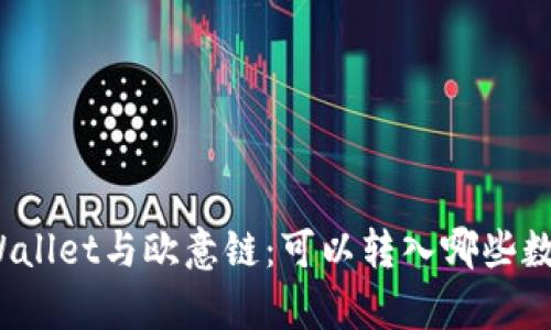 探索tpWallet与欧意链：可以转入哪些数字货币？