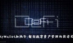 tpWallet加池子：解锁数字资产管理的新方式