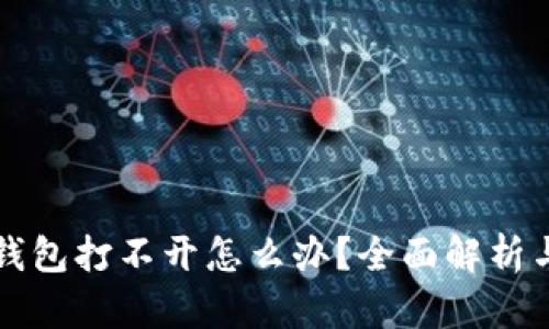 比特币冷钱包打不开怎么办？全面解析与解决方案