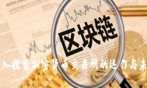 深入探索加密货币交易所的运作与未来