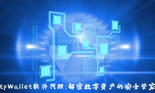   
tpWallet软件代理：解密数字资产的安全管家