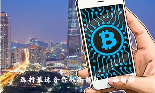 选择最适合你的冷钱包：全面解析