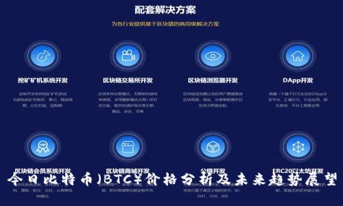 今日比特币（BTC）价格分析及未来趋势展望