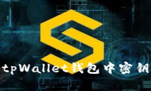: 如何解决tpWallet钱包中密钥找不到问题