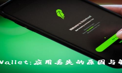 探讨TPWallet：应用丢失的原因与解决方案