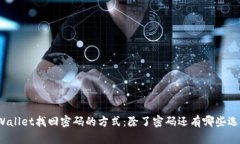 tpWallet找回密码的方式：除了密码还有哪些选择？