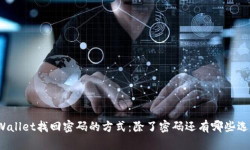 tpWallet找回密码的方式：除了密码还有哪些选择？