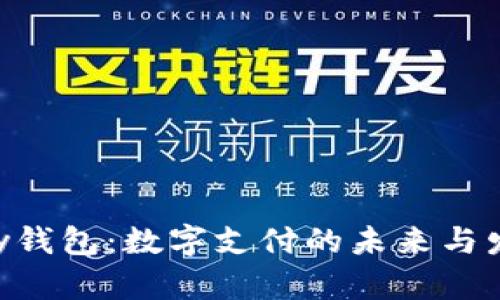 : CGPay钱包：数字支付的未来与发展趋势